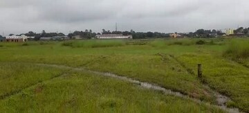 Plot Area in  Plot at Namkum – for Sale