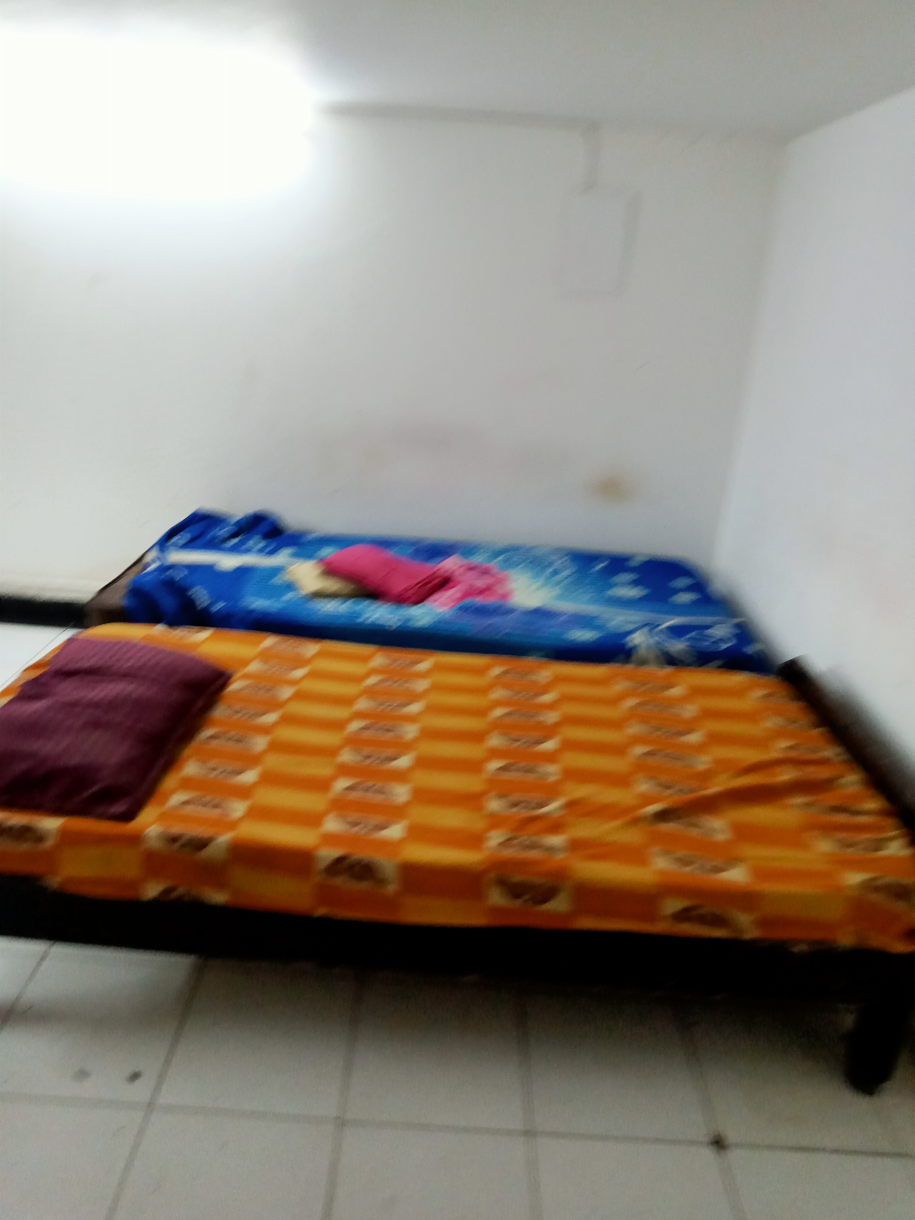 1 Rk+ Study Room Builder Floor For Rent in Freedom Fighters Enclave