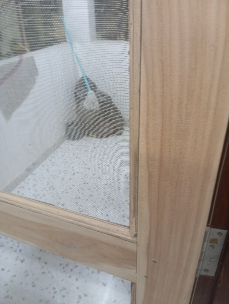 undefined, sector 19 2.5 Bedroom 1500 Sq.Ft. Builder Floor In Sector 19 Noida 9221813