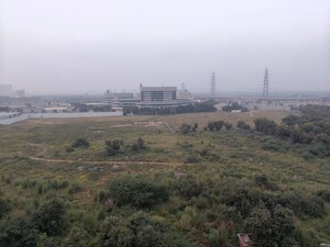 3 BHK Apartment For Rent in SS The Coralwood, Sector 84