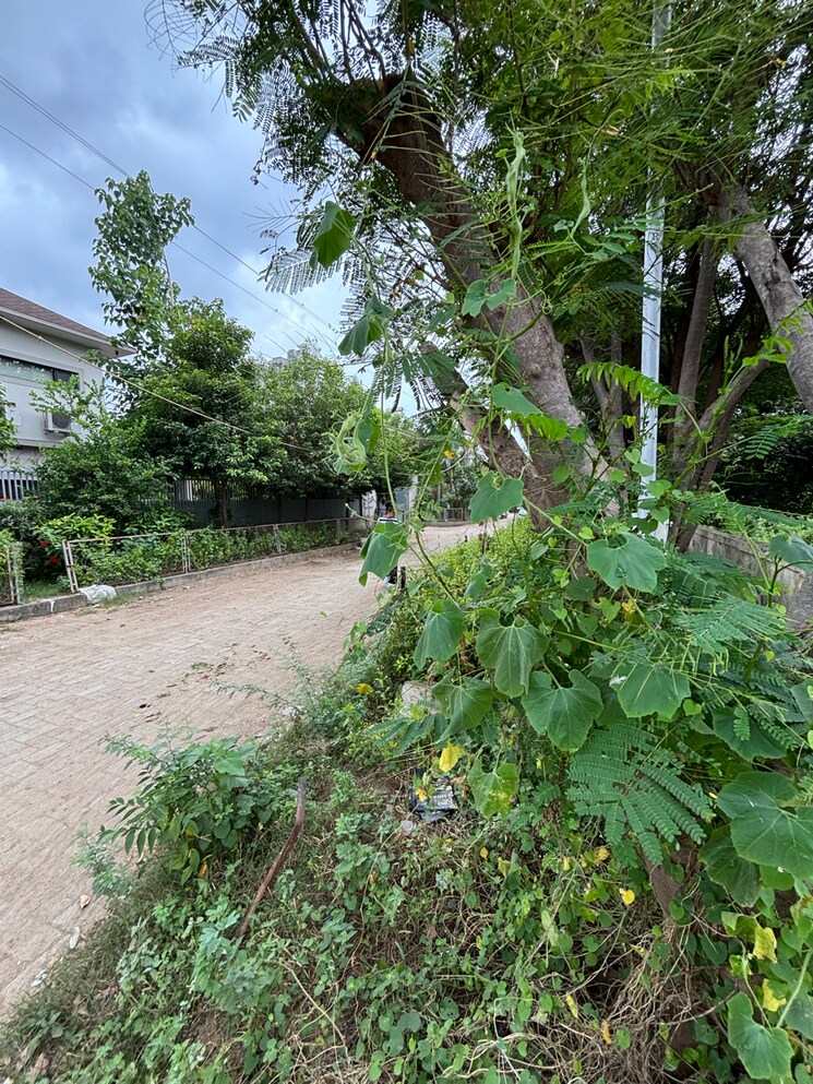 Garden, science city  1000 Sq.Yd. Plot In Science City Ahmedabad 9222132