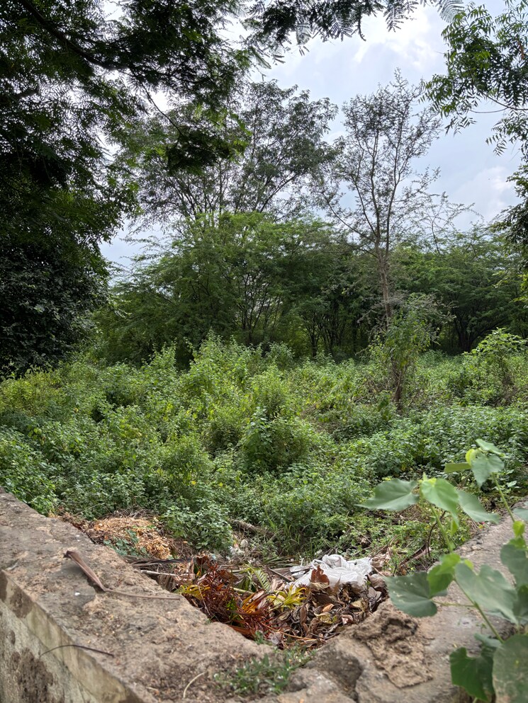 Garden, science city  1000 Sq.Yd. Plot In Science City Ahmedabad 9222132