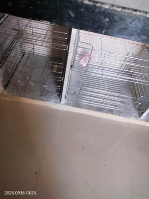 Balcony in 3 BHK Builder Floor at Amolik Residency, Sector 86 – for Rent