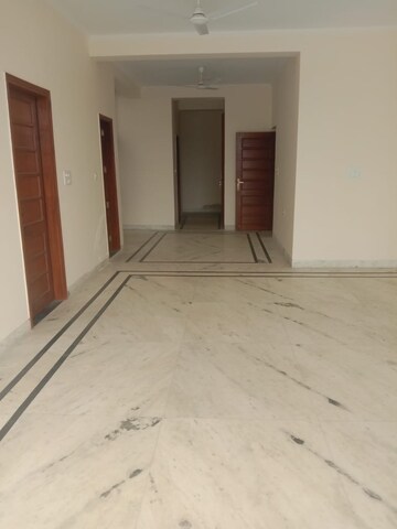 2 BHK Apartment For Rent in Ansal Plaza Sector-23, Sector 23