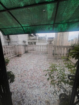 Balcony in 2 BHK Apartment at Hiranandani Estate, Ghodbunder Road – for Rent