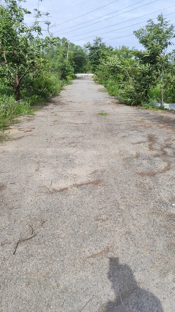  Plot For Sale in Shamirpet