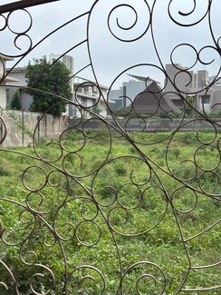 Plot For Sale in Science City