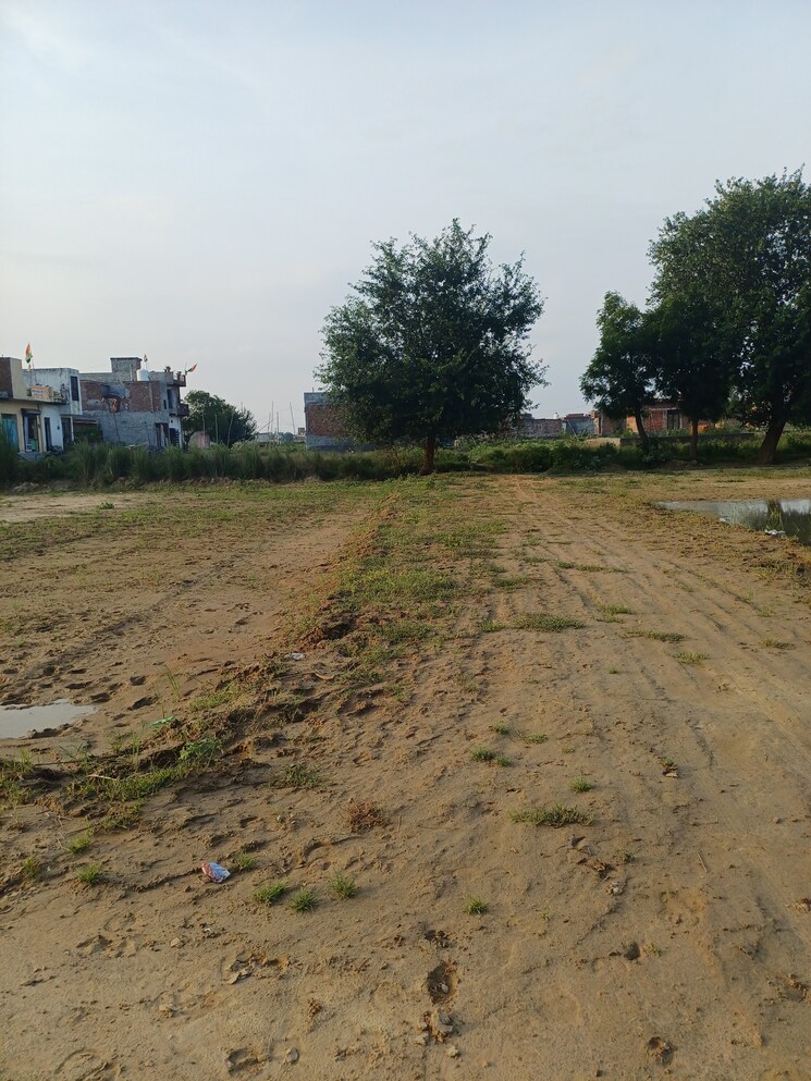 Garden, bhopani  62 Sq.Yd. Plot In Bhopani Faridabad 9222841