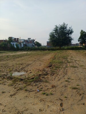  Plot For Sale in Bhopani