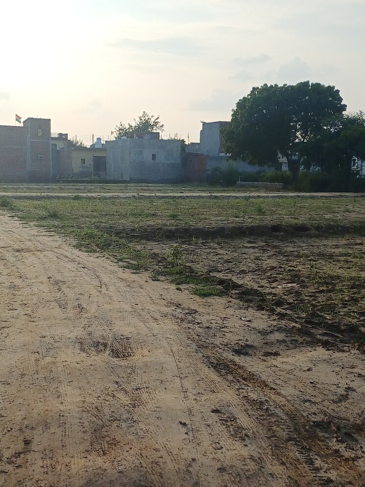 Garden, bhopani  63 Sq.Yd. Plot In Bhopani Faridabad 9222888