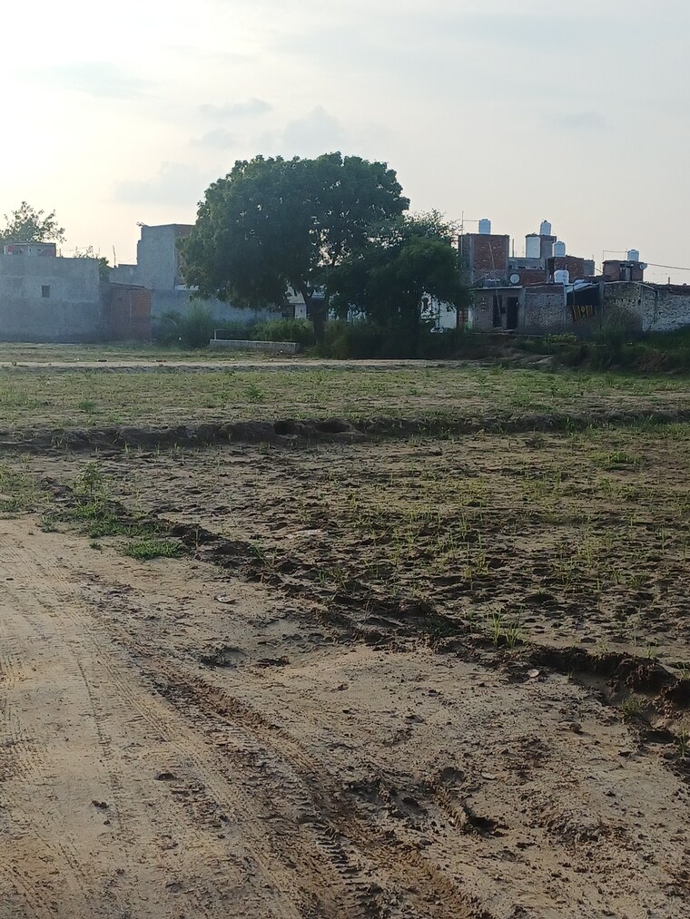 Garden, bhopani  64 Sq.Yd. Plot In Bhopani Faridabad 9222961