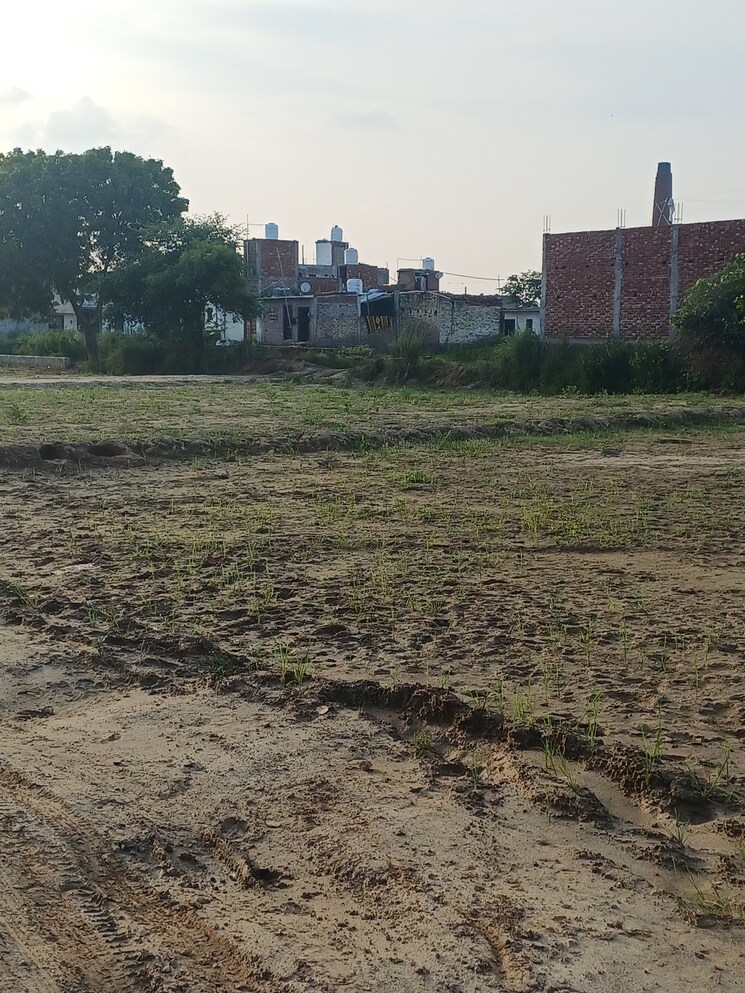Garden, bhopani  65 Sq.Yd. Plot In Bhopani Faridabad 9223089