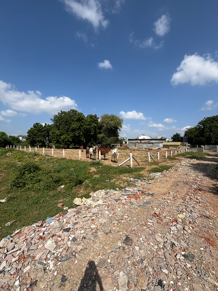 undefined, science city  1520 Sq.Yd. Plot In Science City Ahmedabad 9223040