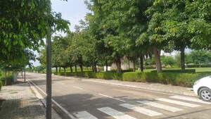 3 BHK Apartment – Garden View at DLF Hyde Park, South Mullanpur - for Rent