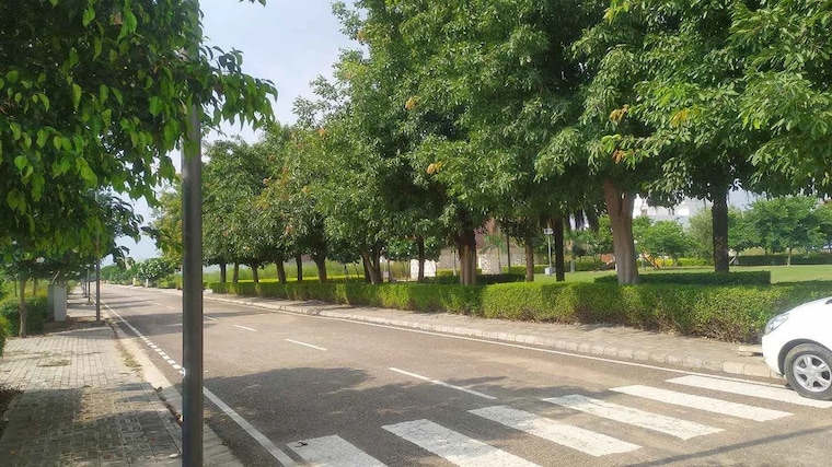 Garden, dlf-hyde-park 3 Bedroom 1880 Sq.Ft. Apartment In South Mullanpur Chandigarh 9222958