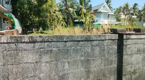 Plot Area in  Plot at Chembukkavu – for Sale