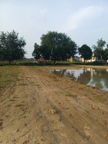  Plot For Sale in Bhopani