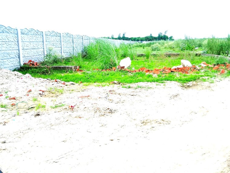 undefined, sector 142  1800 Sq.Ft. Plot In Sector 142 Noida 9223611