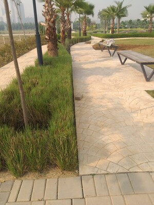  Plot For Sale in Amolik Aster Woods, Sector 98