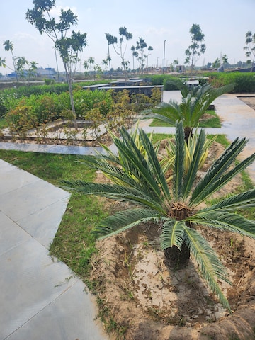  Plot – Garden View at JMS The Pearl, Sector 95 - for Sale