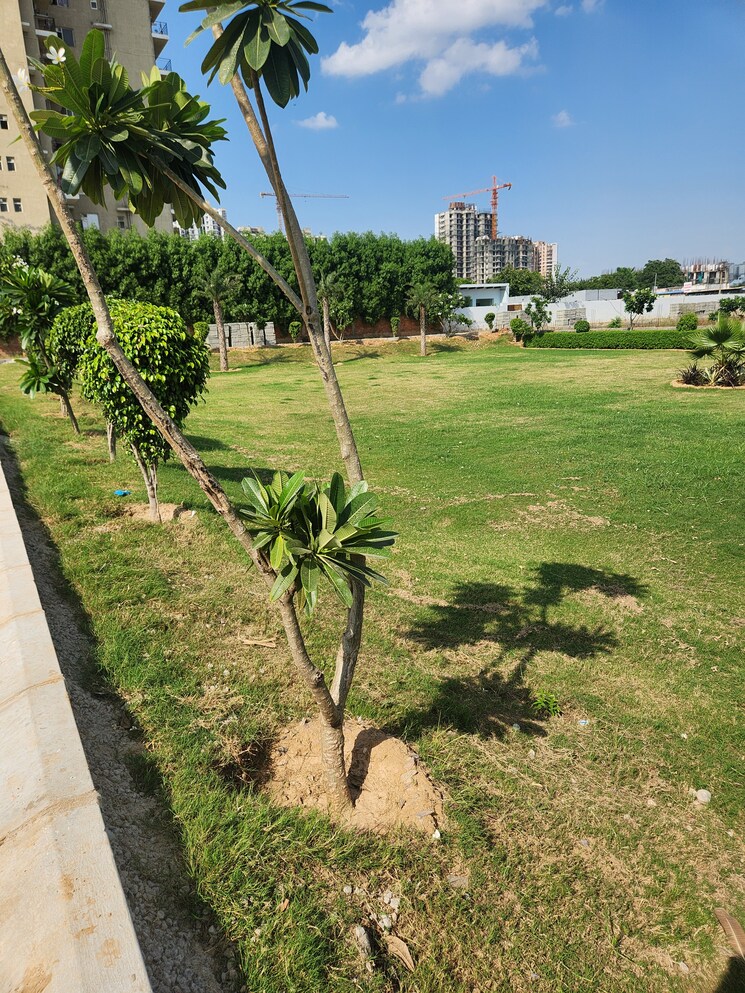 Garden, jms-the-pearl  150 Sq.Yd. Plot In Sector 95 Gurgaon 9223930