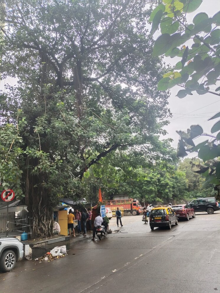  Parking, dadar east 1 Bedroom 205 Sq.Ft. Apartment In Dadar East Mumbai 9223941