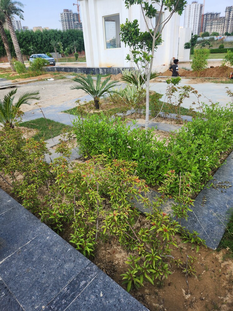 Garden, jms-the-pearl  150 Sq.Yd. Plot In Sector 95 Gurgaon 9223975