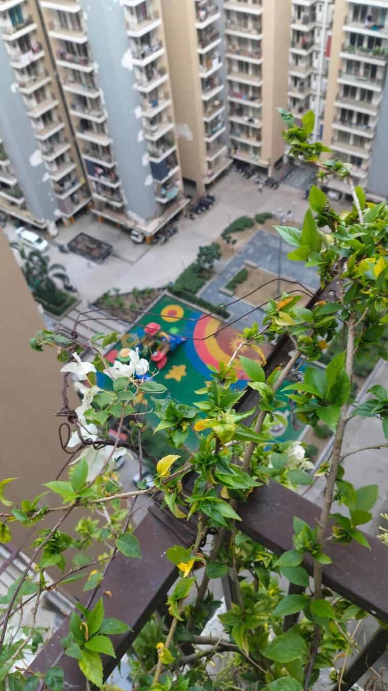 Master Plan, panchsheel-greens-ii 2 Bedroom 915 Sq.Ft. Apartment In Sector 16 Greater Noida Greater Noida 9224013