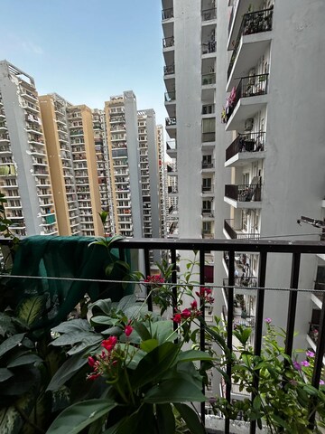 2 BHK Apartment – Exterior View View at Panchsheel Greens II, Sector 16 Greater Noida - for Sale
