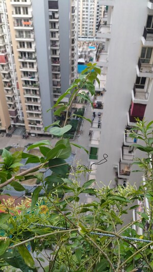 Master Plan in 2 BHK Apartment at Panchsheel Greens II, Sector 16 Greater Noida – for Sale