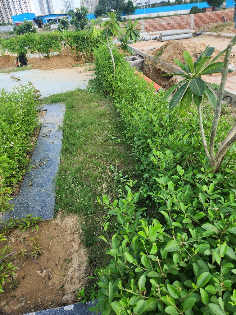 Garden, jms-the-pearl  150 Sq.Yd. Plot In Sector 95 Gurgaon 9224196