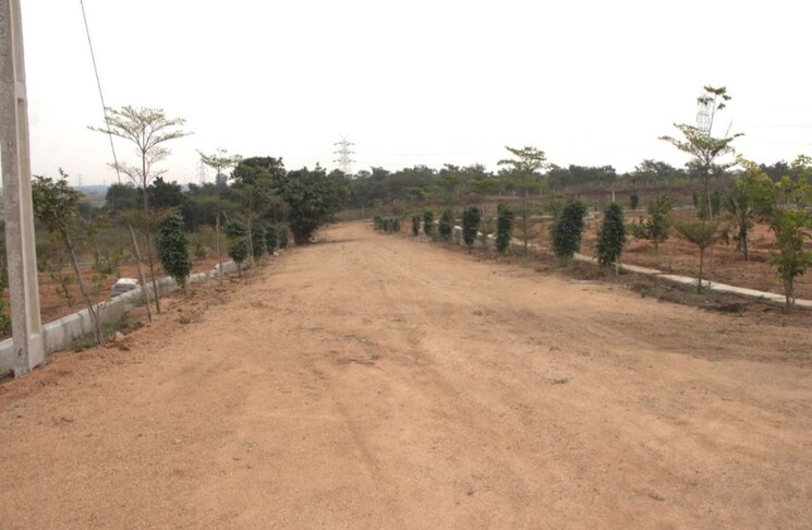 undefined, maheshwaram  242 Sq.Yd. Plot In Maheshwaram Hyderabad 9224695