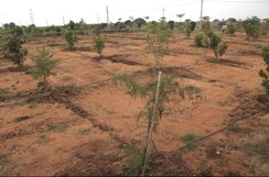 Plot For Sale in Maheshwaram
