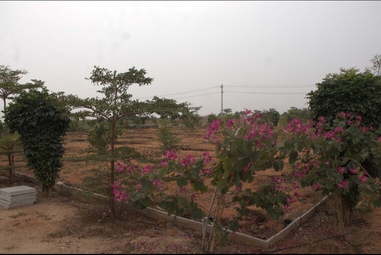 undefined, maheshwaram  242 Sq.Yd. Plot In Maheshwaram Hyderabad 9224695
