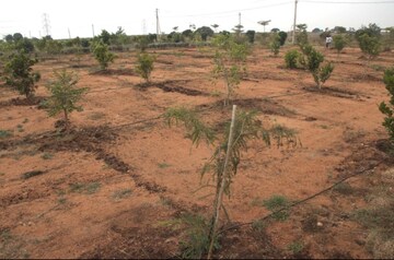 Plot Area in  Plot at Maheshwaram – for Sale