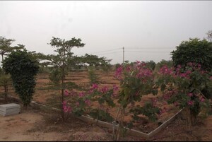 Plot Area in  Plot at Maheshwaram – for Sale