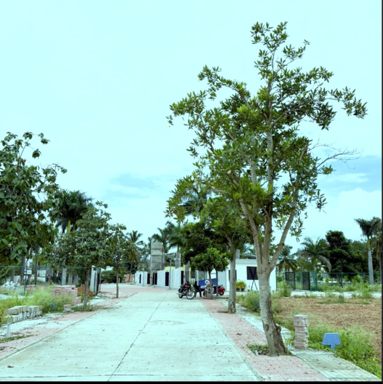 Garden, vatavarana-realty-plots  1200 Sq.Ft. Plot In Ramohalli Bangalore 9224778