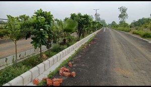  Plot For Sale in Rajatalab