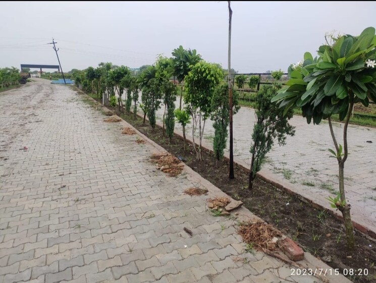 undefined, rajatalab  1000 Sq.Ft. Plot In Rajatalab Varanasi 9224786