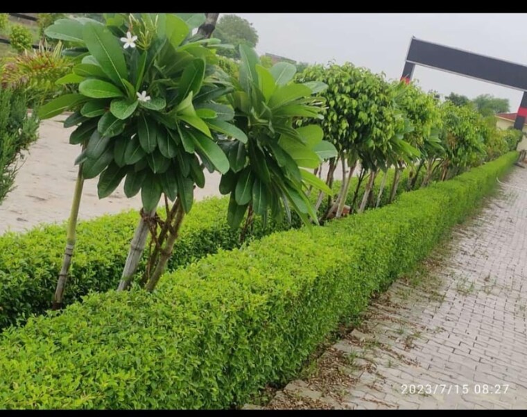 Garden, rajatalab  1000 Sq.Ft. Plot In Rajatalab Varanasi 9224786
