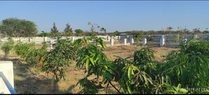 Plot Area in  Plot at Real Rainbow County, Pulimamidi – for Sale