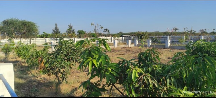 undefined, real-rainbow-county  181 Sq.Yd. Plot In Pulimamidi Hyderabad 9224793