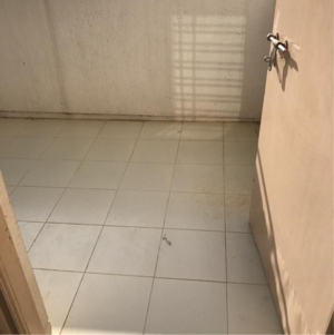 Bathroom in 2 BHK Apartment at Amit Nandanvan, Pimple Nilakh – for Rent