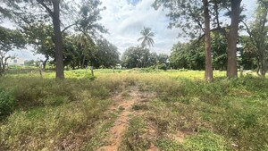  Plot For Sale in Yelahanka