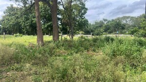 Plot Area in  Plot at Yelahanka – for Sale