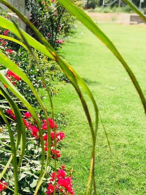 3 BHK Builder Floor – Garden View at Sector 113 - for Sale