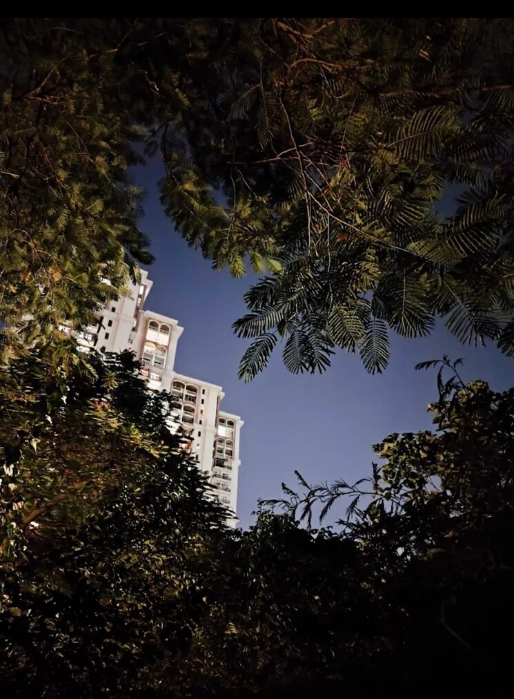 Master Bedroom, dlf-regency-park-i 2 Bedroom 1150 Sq.Ft. Apartment In Dlf Phase iv Gurgaon 9225037