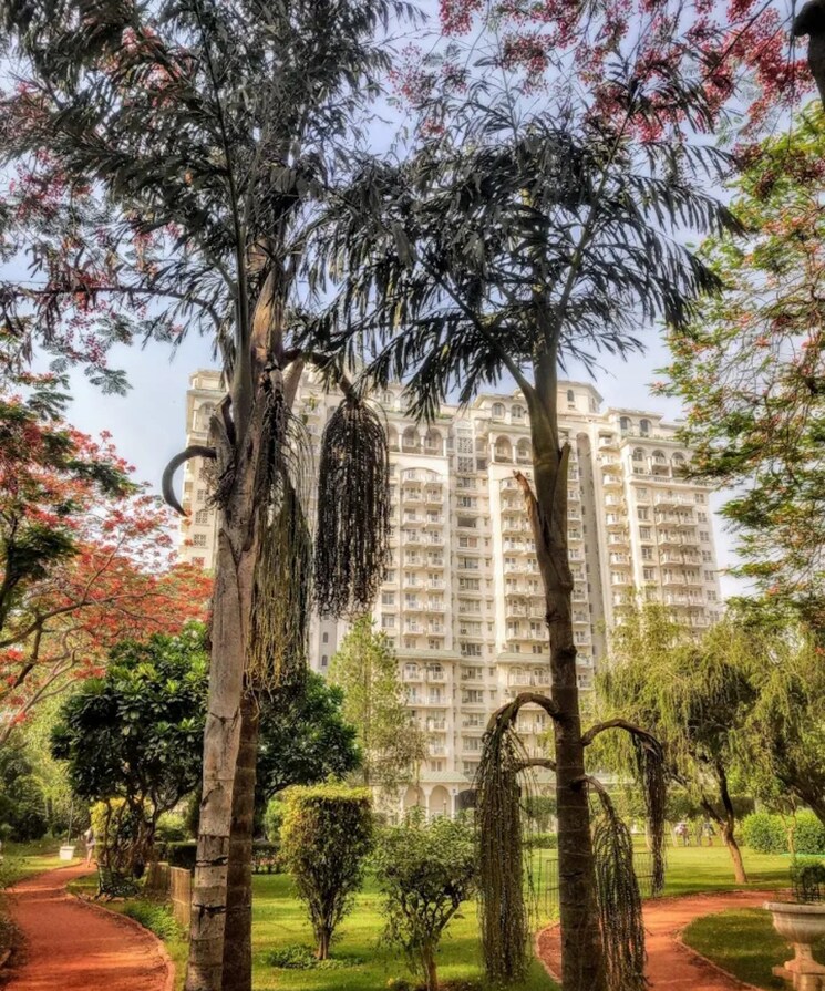 Exterior View, dlf-regency-park-i 2 Bedroom 1150 Sq.Ft. Apartment In Dlf Phase iv Gurgaon 9225037