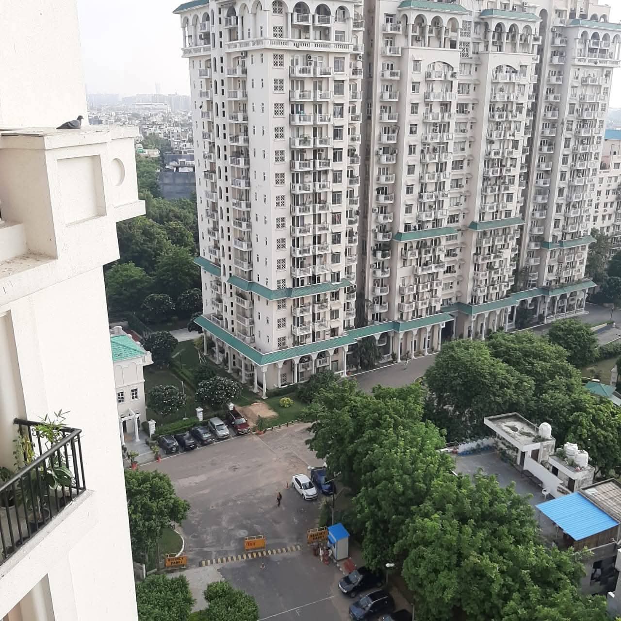 3 BHK Apartment For Sale in DLF Regency Park I