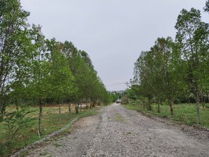 Plot Area in  Plot at Hosur Krishnagiri rd – for Sale